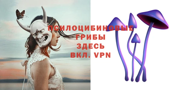 прущие крисы Карпинск