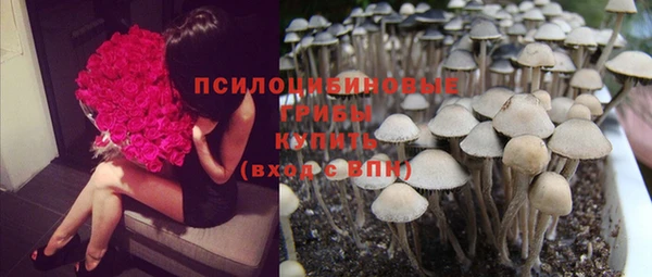 прущие крисы Карпинск